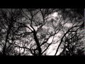 灯り / Heat Wave ヒートウェイブ 弾き語りカバー
