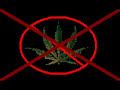 ska-p legalizacion ska-p legalizacion