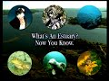 What is an Estuary...So Now You Know! - 017 What is an Estuary...So Now You Know! - 017