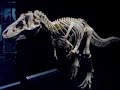 Walking Dinosaur Walking Dinosaur