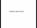 Anberlin - Naive orleans
