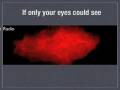 videos de If you could see in x-rays