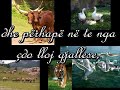 Mini video Islame- Fakte