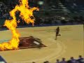 Harlem globe trotters Saint John