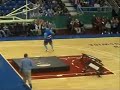 Harlem globe trotters Saint John