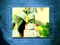 Current Affairs - Lesson Three: Visualizations Current Affairs - Lesson Three: Visualizations