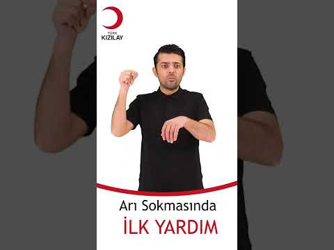 Sayfa 38 Hayvan    ısırmaları ve böcek sokmaları