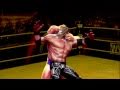 WWE All Stars: Finishing Move Highlights