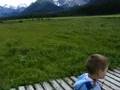 Mt. Engadine Lodge -- Meadow View Platform