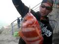 RAUL DORADA PESCA , URTA , VIVA , video .