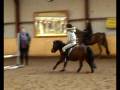 videos de Kim @ Sunny, springles