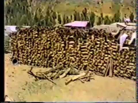 See video