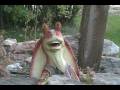 videos de Viral Jar Jar