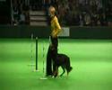 Crufts 2008 Obedience Championship Lorraine & Buster