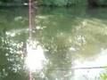 fishin git r done