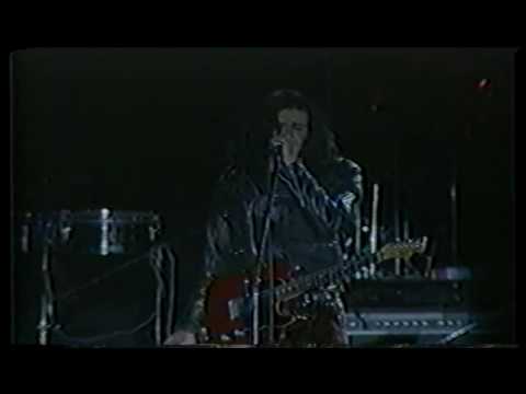 Video de De noche todos los gatos son pardos de Caifanes