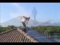Pressure Cleaning Ft Myers, Bonita, Naples, Fl www.swflservi