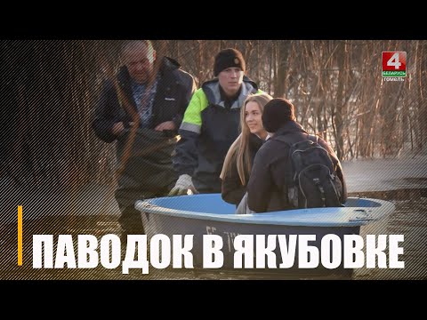 На Гомельшчыне падтоплена звыш за 500 падворкаў видео