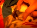Shooper y Kiba!! (Miz Mazkotaz) Shooper y Kiba!! (Miz Mazkotaz)