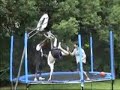 Painful Trampoline Jump Accident