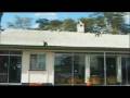 videos de S Club 7 - S Club 7 Go Wild! - Paul In Kenya (Episode 1) - Part Three