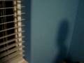 videos de meow meow