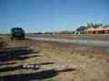 Ver Video