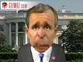 Bush\ Bush\