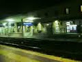 Taranii obositi la o bere