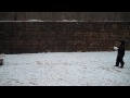 Sydney Playing in the Snow or being attacked by Cooper 12-29-09.mov