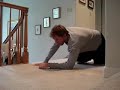 some-of-the-walking-with-beasts-creatures.html