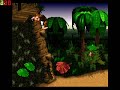 donkey kong homo glitch donkey kong homo glitch