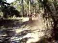 ATV PUERTO RICO #3, QUEBRADILLAS TEAM