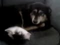 thats my tail