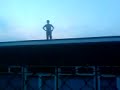 Eggys 2 story free fall Eggys 2 story free fall