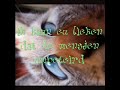't ambetant lieken - d'ambetanterikken