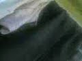 trip  2nd part