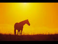 Keali'i Reichel － Field of Gold