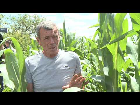 Șeful statului a vizitat întreprinderea agricolă SRL „Tehnostel Car” din raionul Hîncești