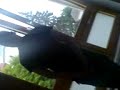 paule ganz normal