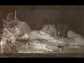 Clicquot Club Eskimos (Harry Reser) - My Sunday Girl, 1927