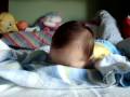 videos de mi sobrino pechocho