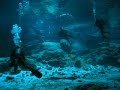 riviera-maya-2005-video-1.html