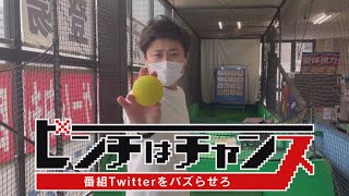 動画のサムネイル