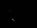 videos de smile to the moon