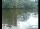 me and my freinds in ecleston river