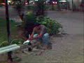 Bomba de Mentos e Coca Light