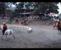la f�te du poney-club � guitres (33) 
le 24 juin 2007 avec bertrand habill� en chinois