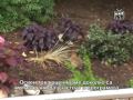 Bush Gardens Williamsburg VA - 04 - MPEG1.mpg