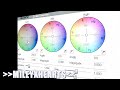 Sony Vegas | Coloring Type 6